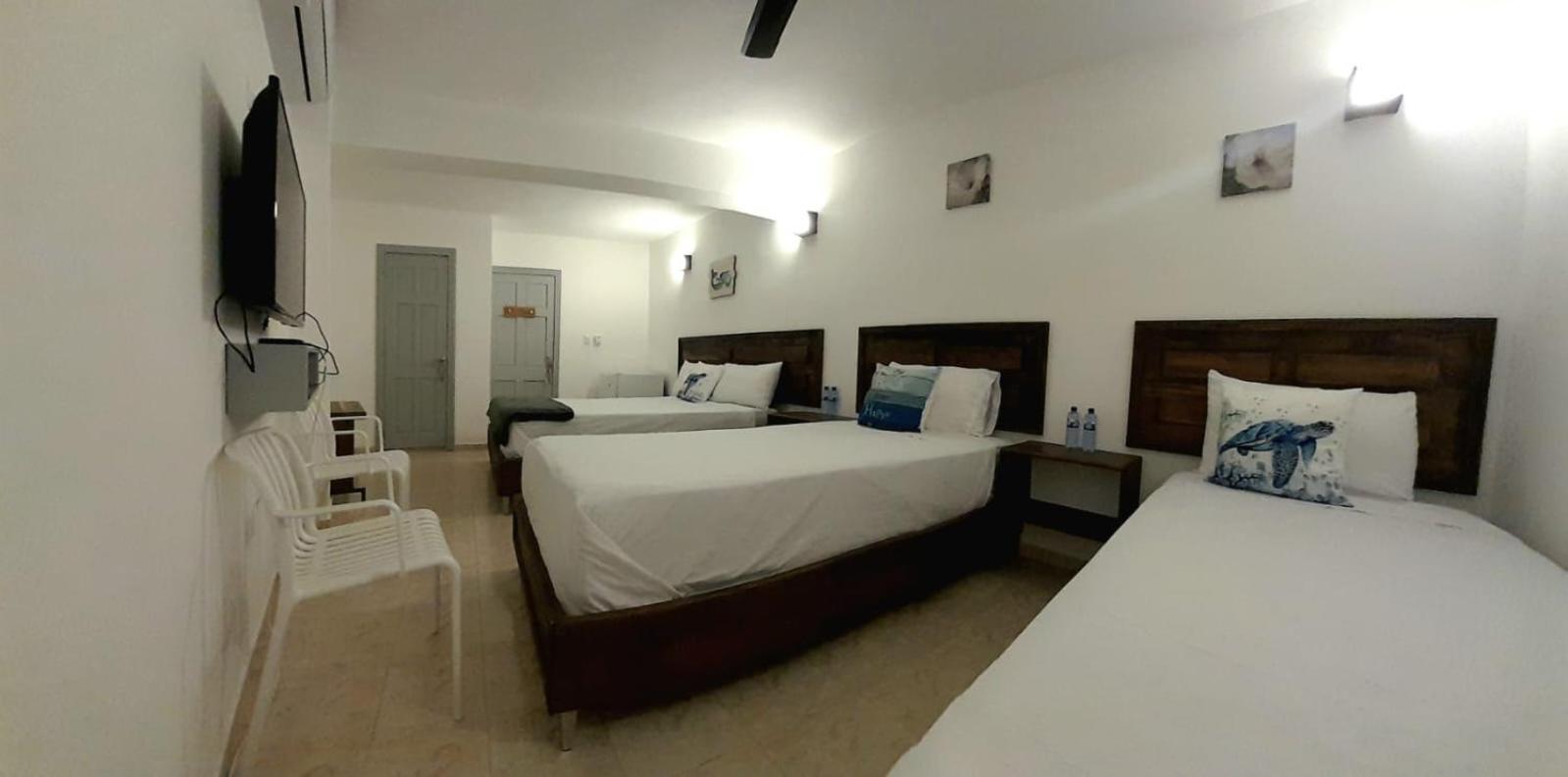 Hostal Marina Samana מראה חיצוני תמונה